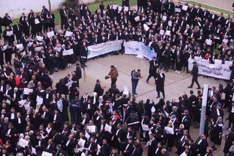 فدرالية المحامين الشباب تصعّد ضد قانون المحاماة